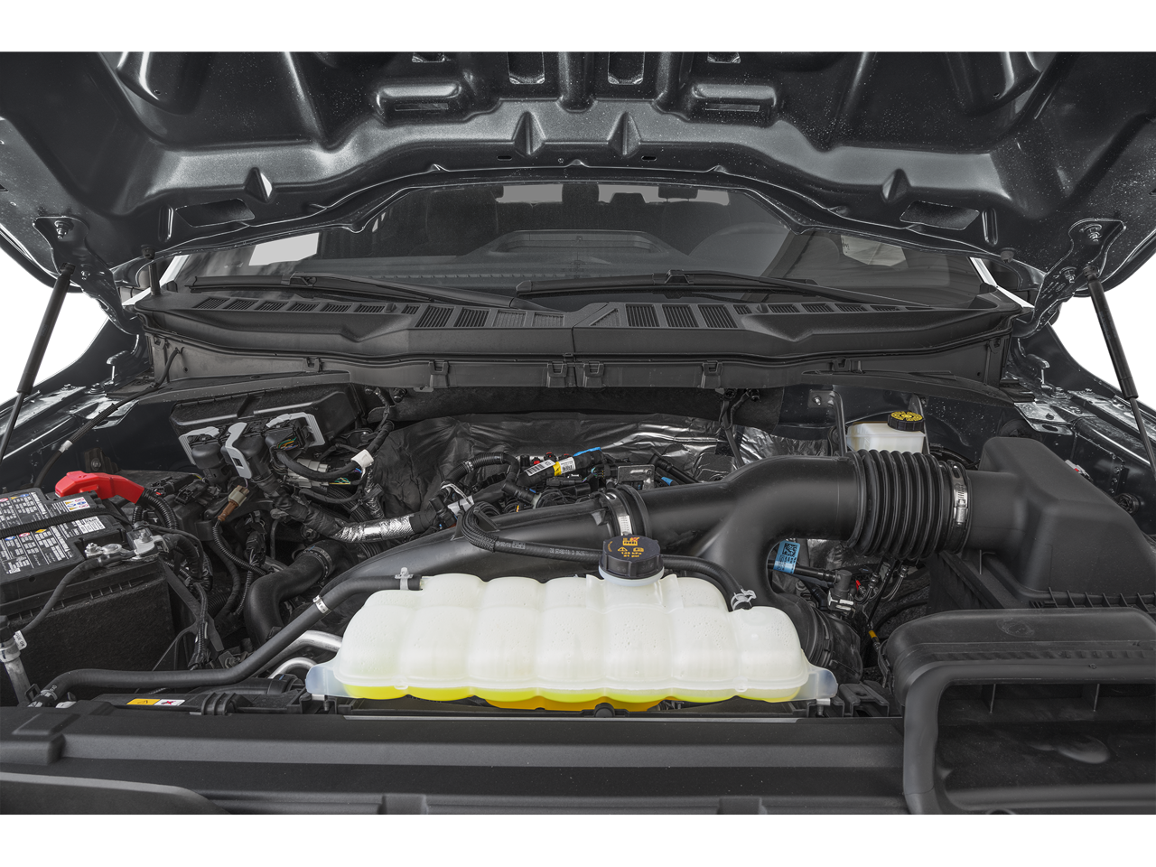 2024 Ford F-150 STX 5.0 V8