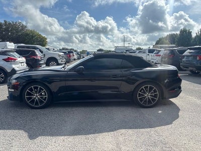 2019 Ford Mustang EcoBoost