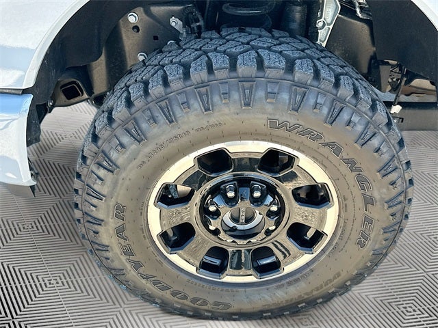 2025 Ford F-350SD Platinum 7.3 V8 TREMOR