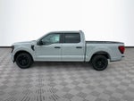 2026 Ford F-150 STX 2WD SUPERCREW