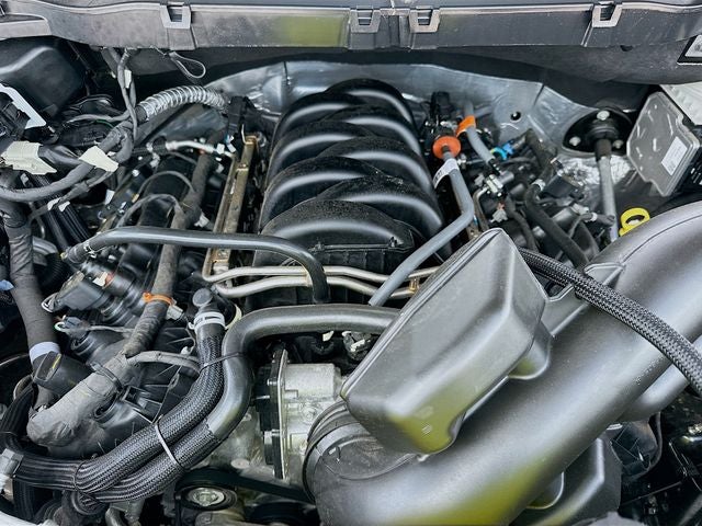 2025 Ford F-150 STX LOBO 5.0 V8