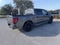 2025 Ford F-150 STX LOBO 5.0 V8