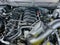 2025 Ford F-150 STX LOBO 5.0 V8