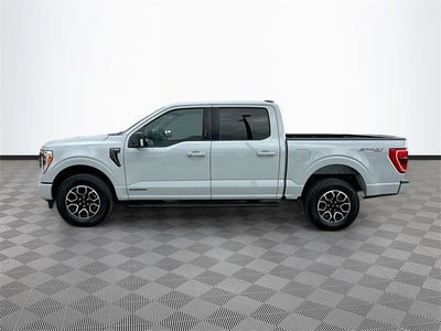 2023 Ford F-150 XLT 3.5 POWERBOOST