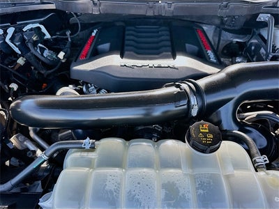 2021 Ford F-150 Raptor 37 PERFORMANCE PACKAGE