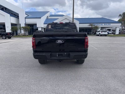 2024 Ford F-150 STX 5.0 V-8