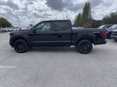 2024 Ford F-150 STX 5.0 V-8