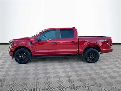2024 Ford F-150 STX 5.0 V8