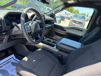 2025 Ford F-150 STX 5.0 V8