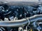 2025 Ford F-150 XLT 3.5 ECOBOOST