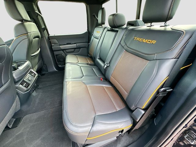 2025 Ford F-150 Tremor 5.0 V8