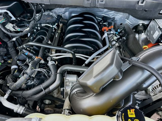 2025 Ford F-150 Tremor 5.0 V8