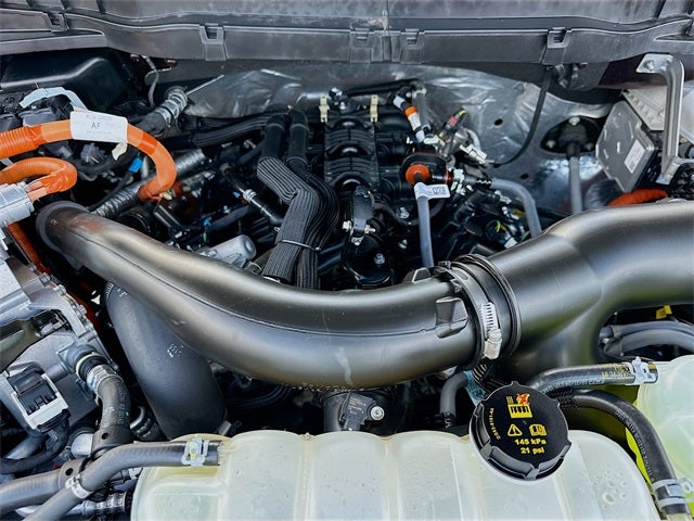 2025 Ford F-150 Platinum 3.5 POWERBOOST