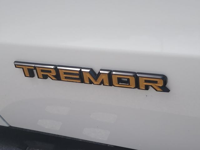 2025 Ford Expedition Tremor - Photo 9