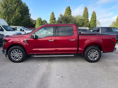 2026 Ford F-150 XLT 303a