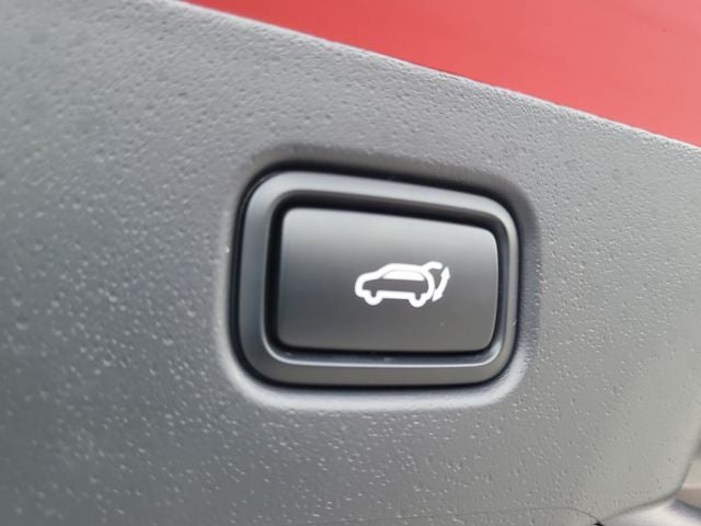 2025 Kia Niro EV Wind PRESERVE
