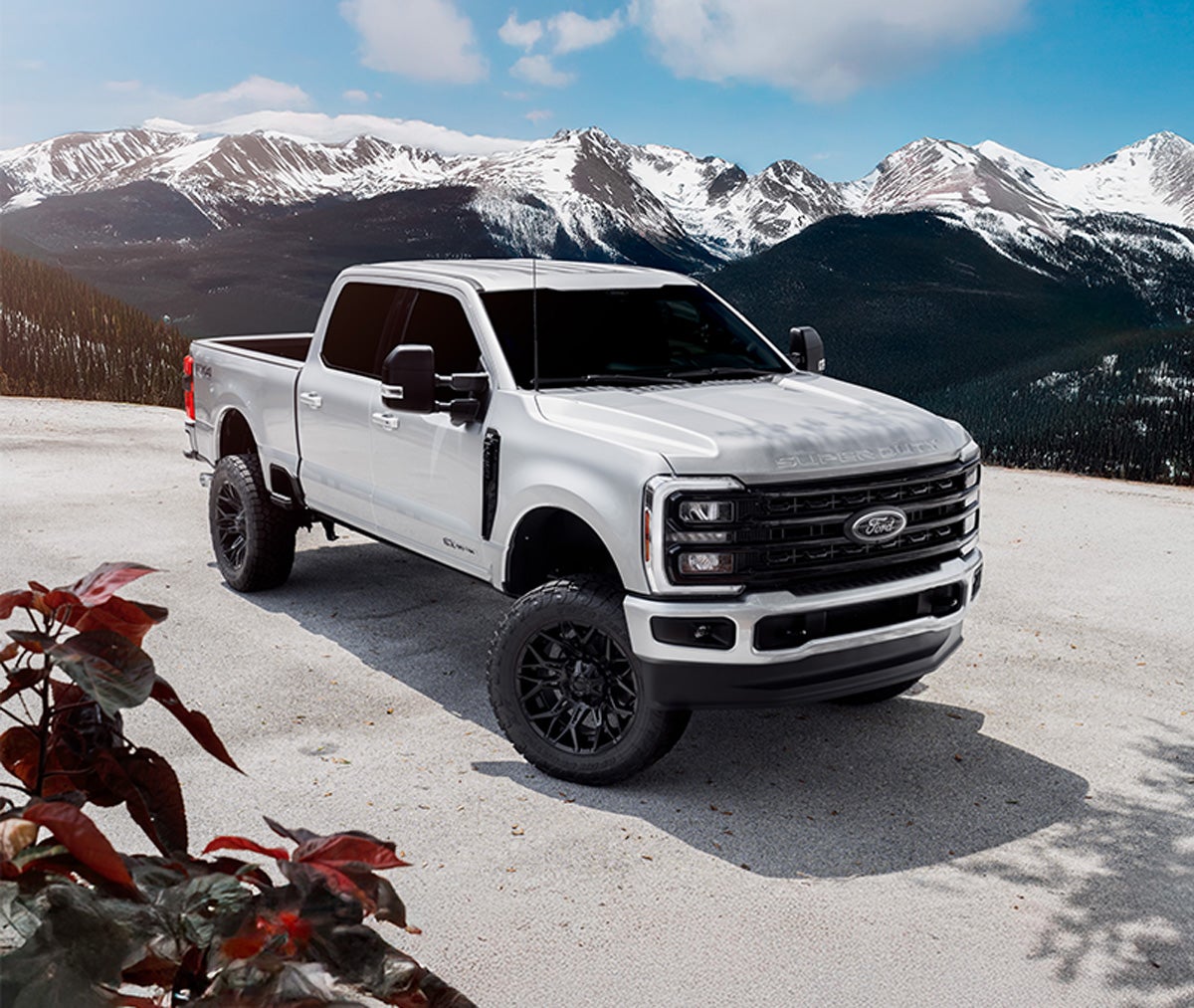 Ford F-250 Gallery 24