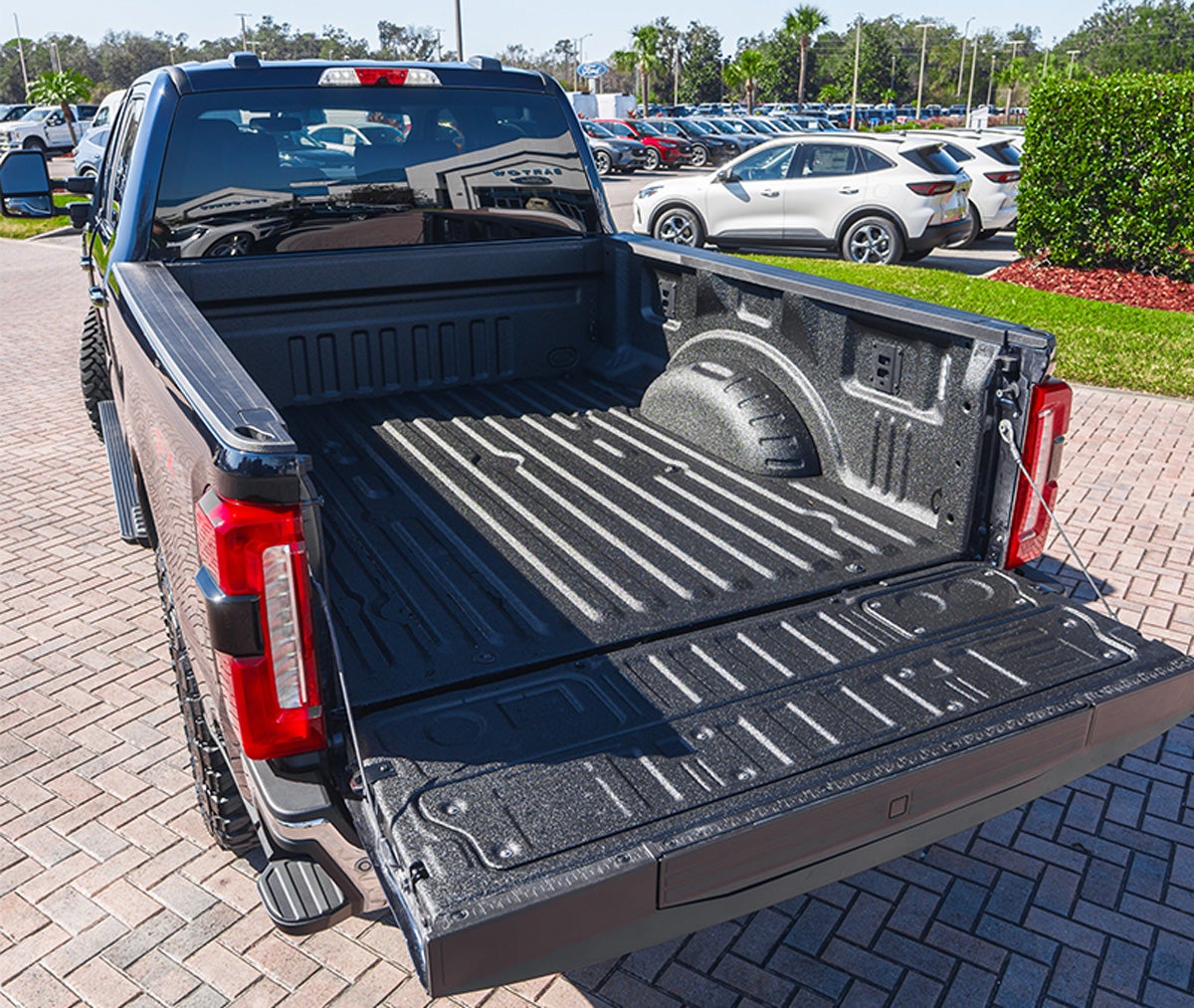 Ford F-250 Gallery 3