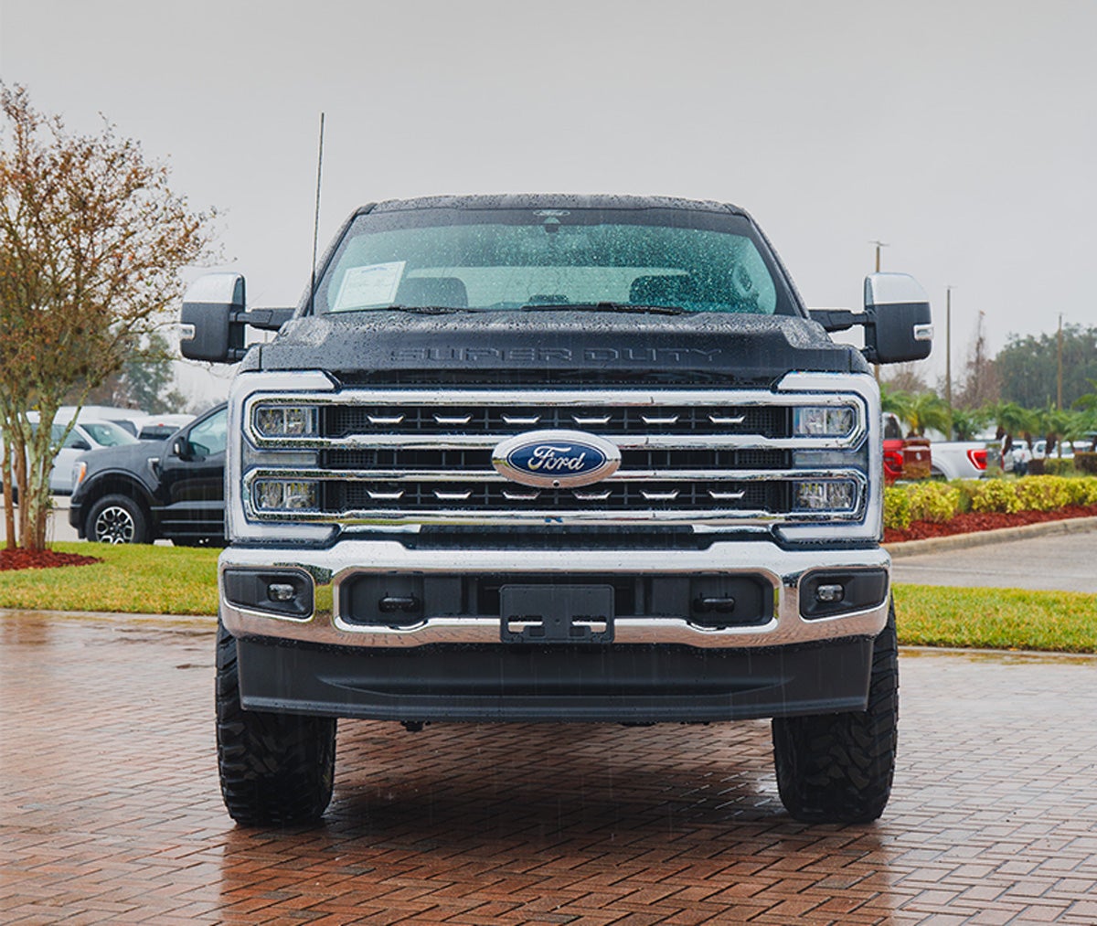Ford F-250 Gallery 55