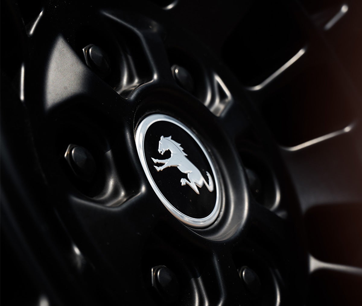 Ford Bronco Gallery 20